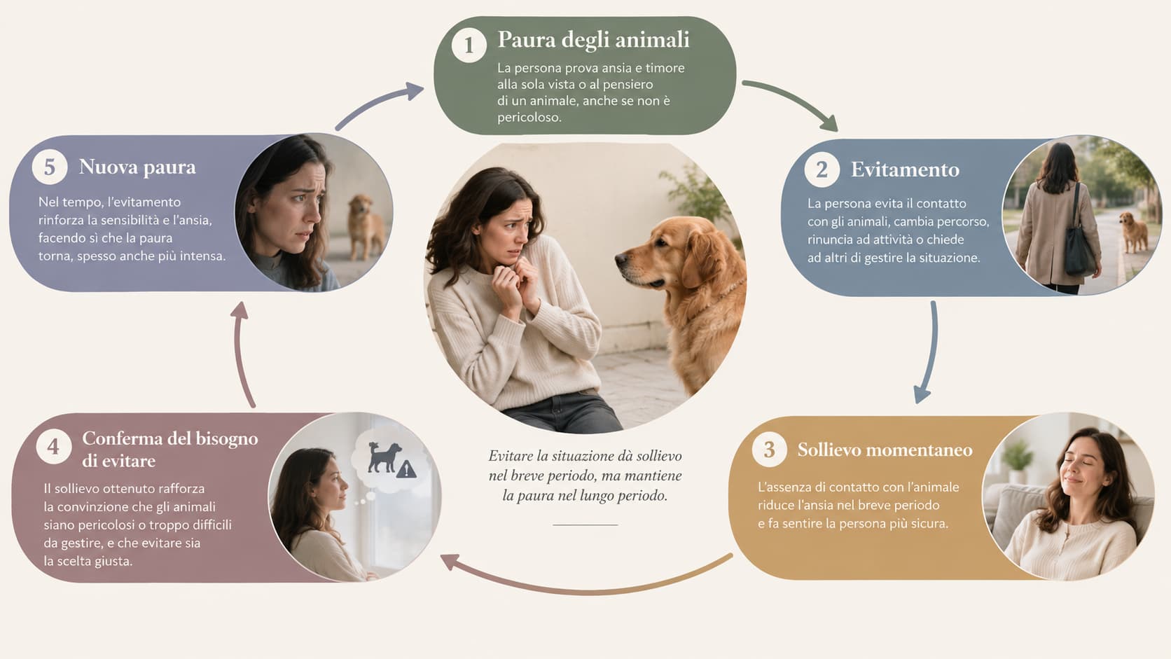 Schema circolare che mostra come la paura degli animali, attraverso l'evitamento e il sollievo immediato, contribuisca a mantenere la paura nel tempo